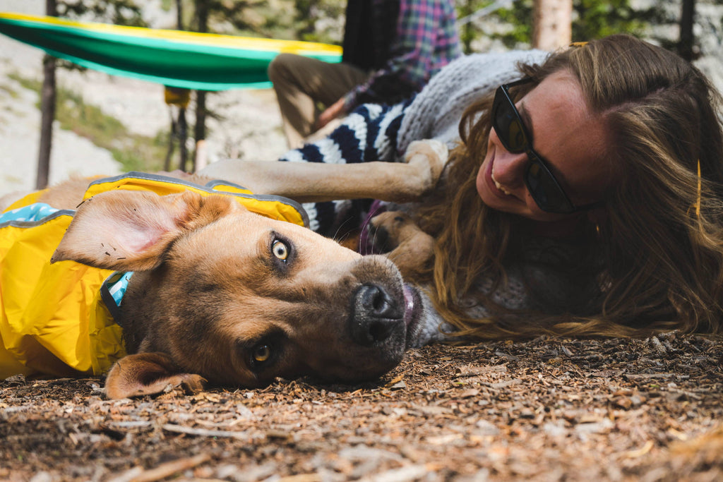 Essential Fatty Acid Sources: Complete Dog Parent Guide