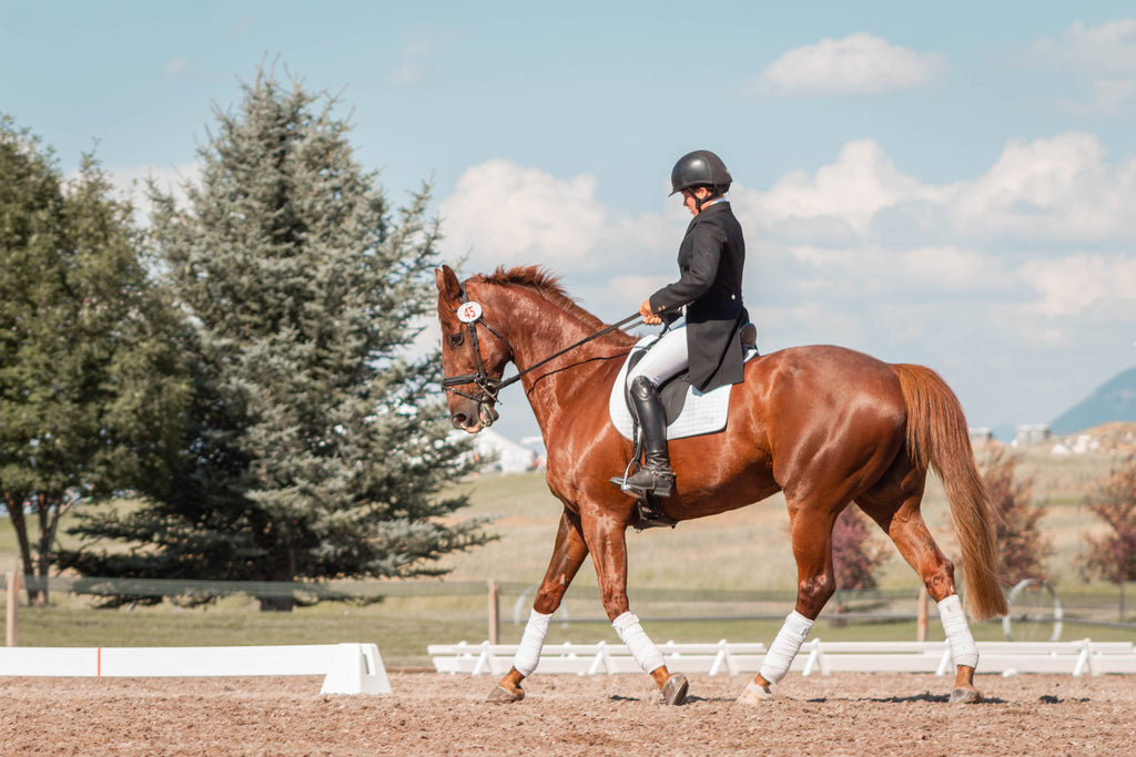 Omega 3 Supplementation & Cushings in Horses