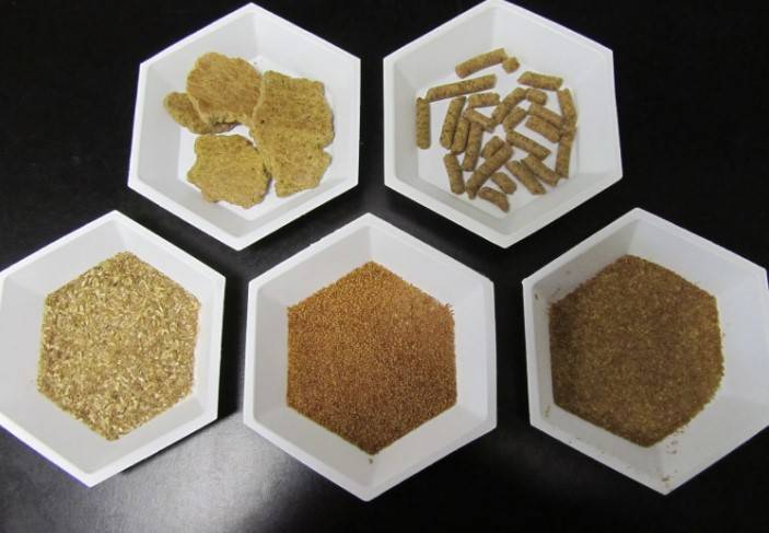 camelina oil compare to other equine oils