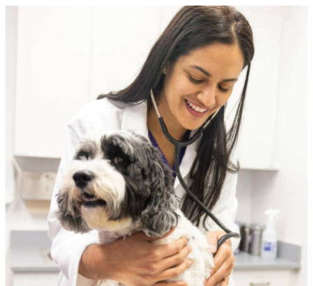 Amanda Nascimento Feature