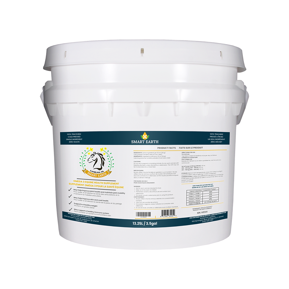 Camelina Oil for Equine - 3.5gal Pail