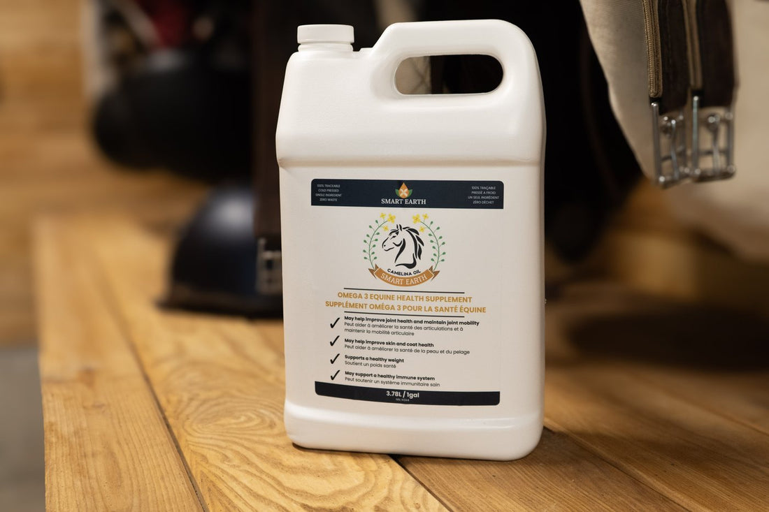 The 1-gallon Camelina Oil jug