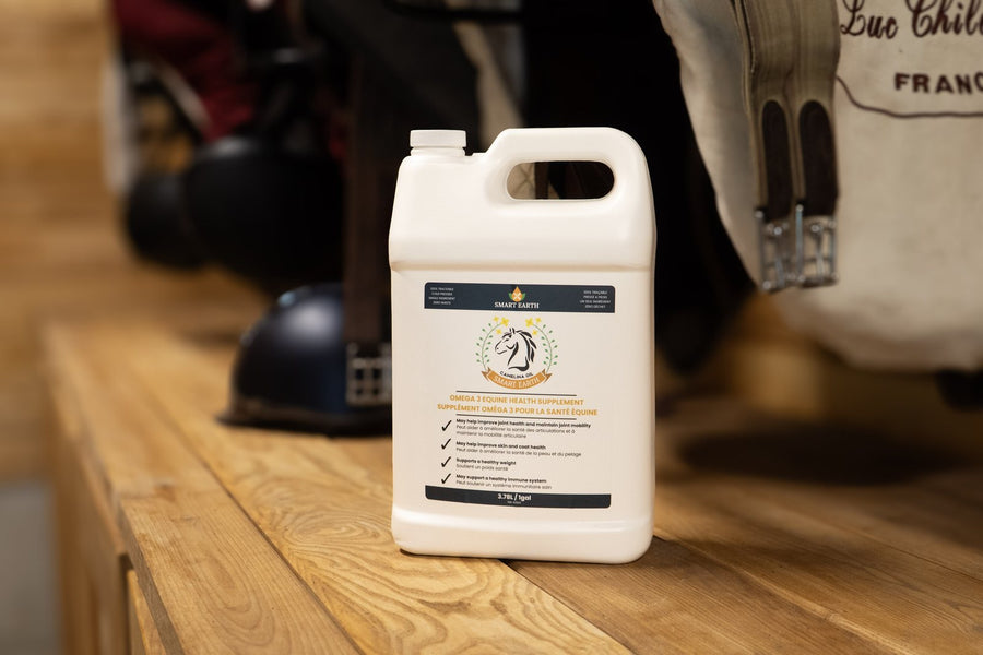 1-gallon Camelina Oil jug on a tack-room bench beside a riding helmet