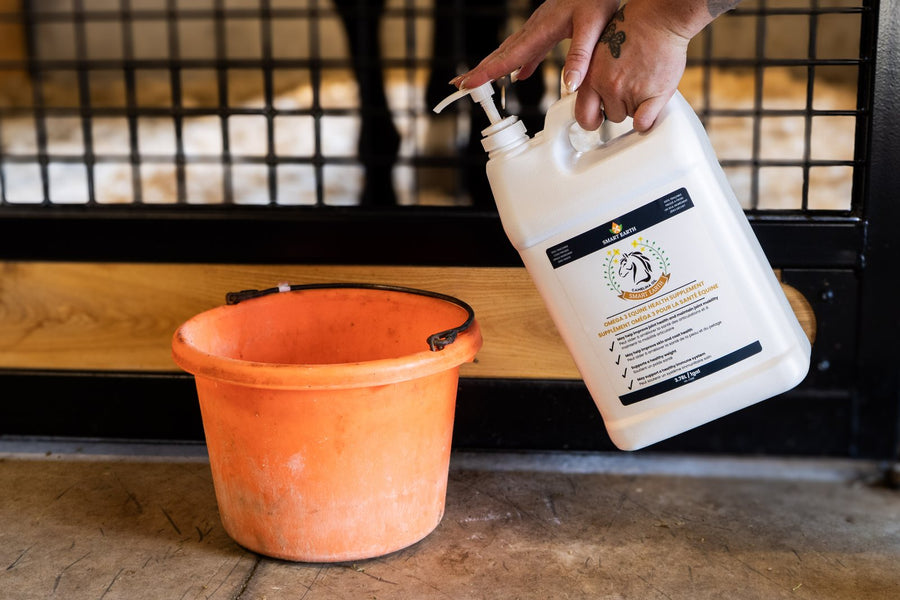 Camelina Oil pumped from the jug into an orange feed bucket
