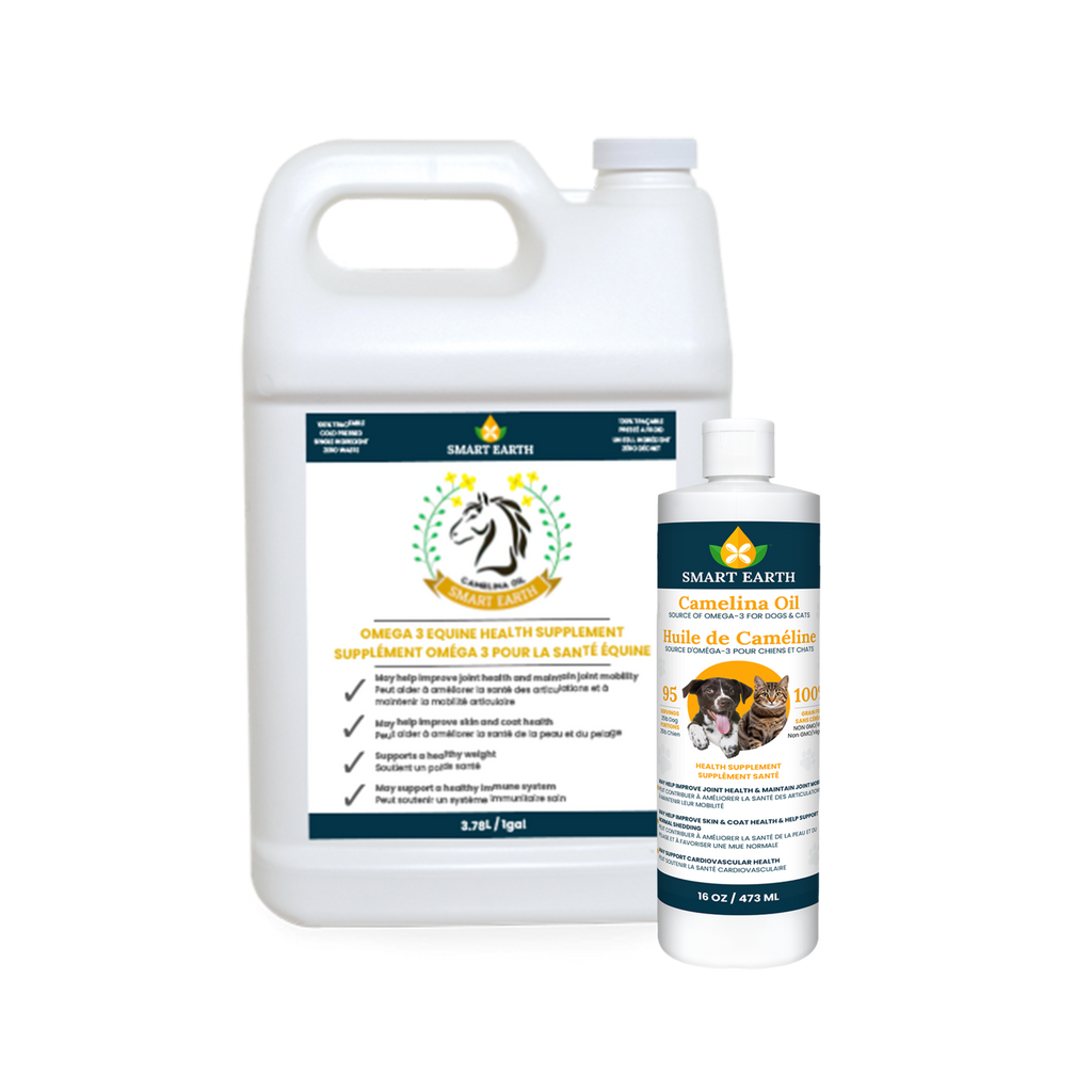 Man's Best Friends Bundle