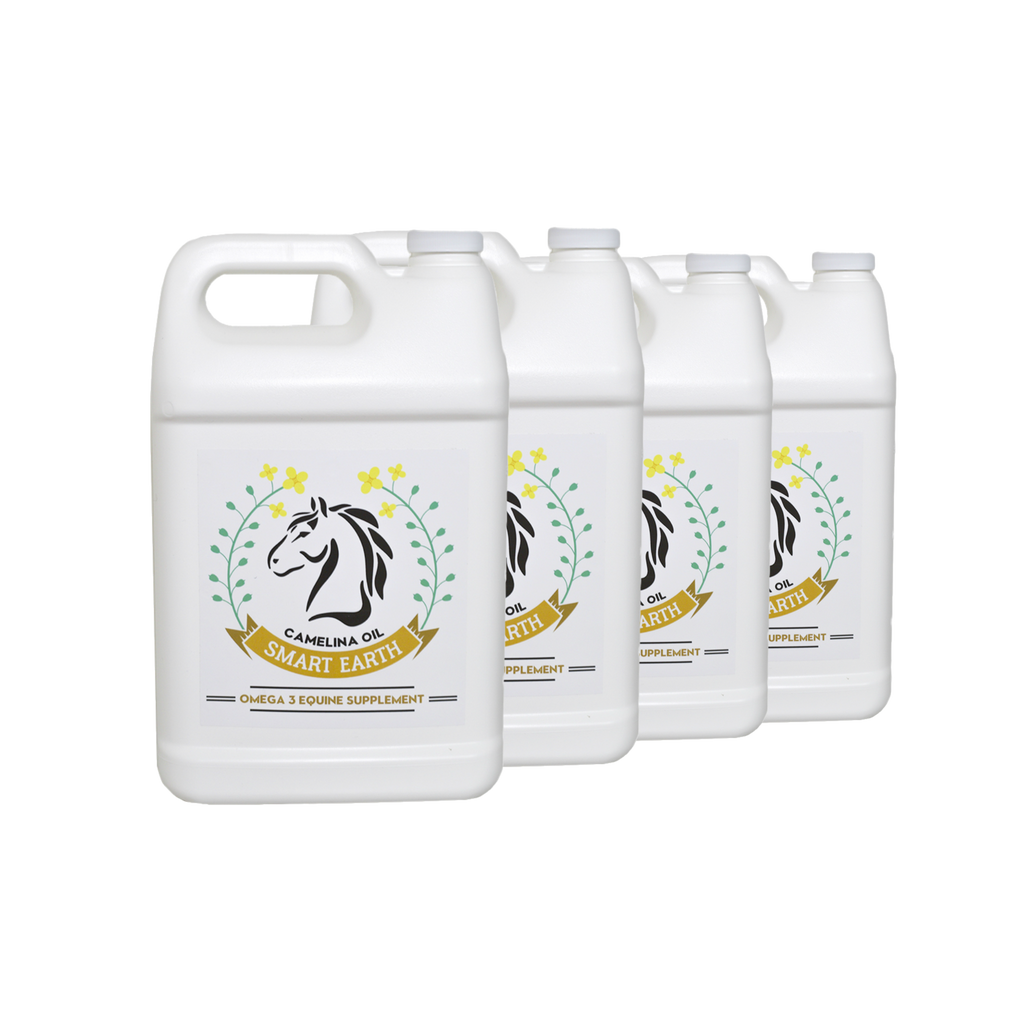 (4 Pack) Camelina Oil for Equine - 1gal Jug